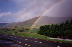 Dingle